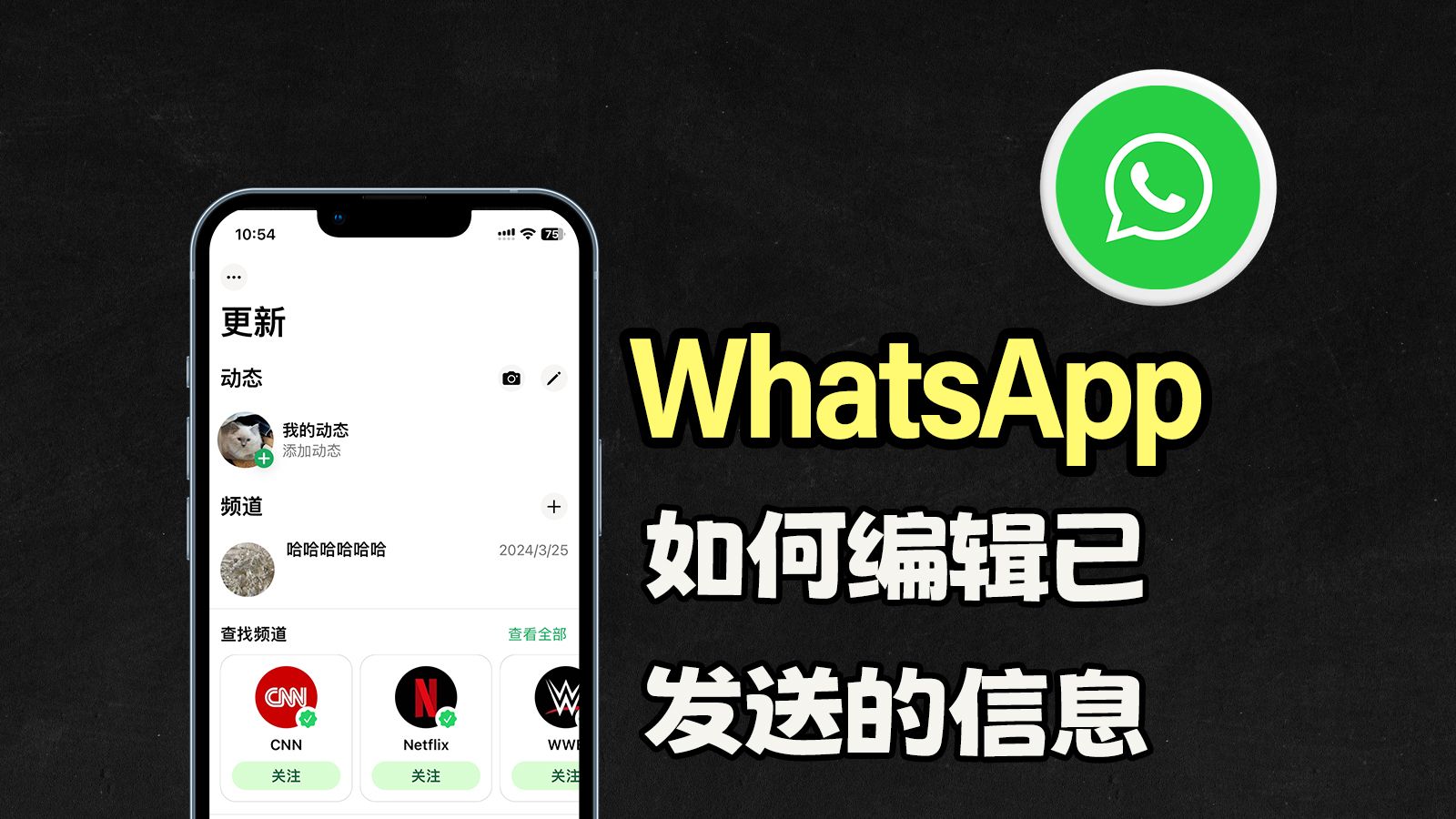 whatsapp网页版通话怎么设置 外贸whatsapp 不能用